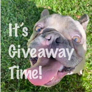 ✨ GIVEAWAY! 🎉 ✨